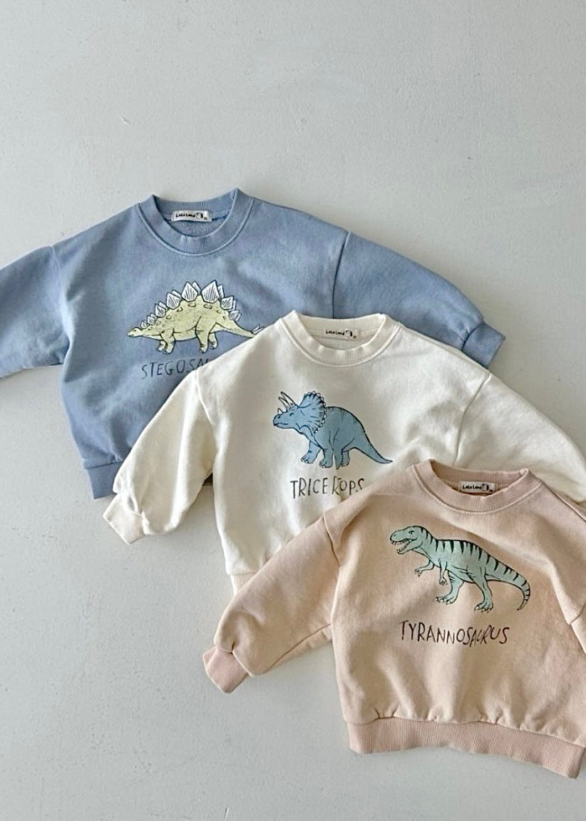 DINO sweat shirt / ダイナソー スウェット トレーナー 恐竜 キッズ